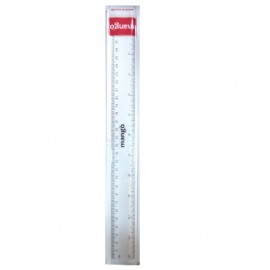 Ruler 12 Mango